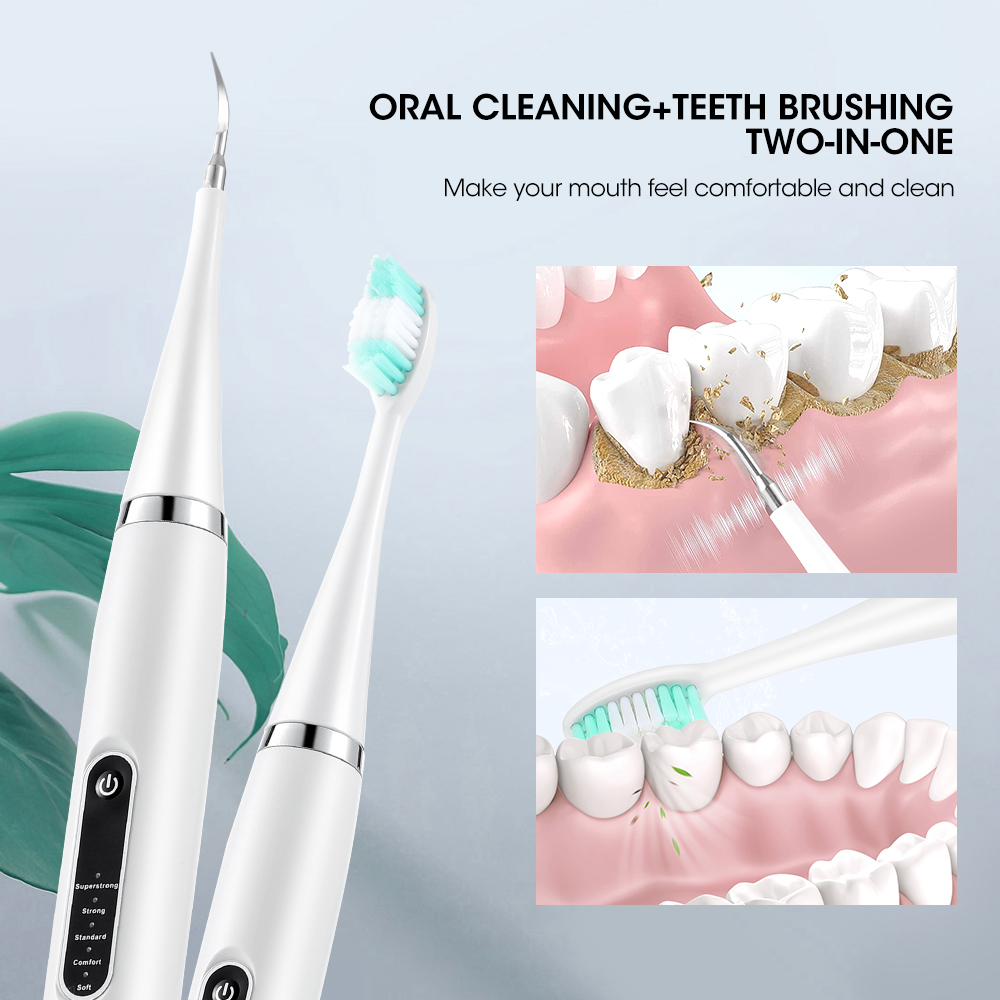 전기 음파 치과 치석 스케일러, 구강 치아 치석 제거기 - Teeth Whitening Professional 리뷰 및 가격
